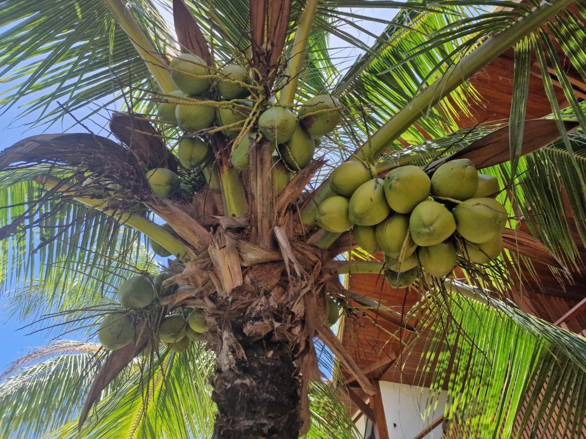 Praia De Itacimirim, Pe Na Areia Dış mekan fotoğraf